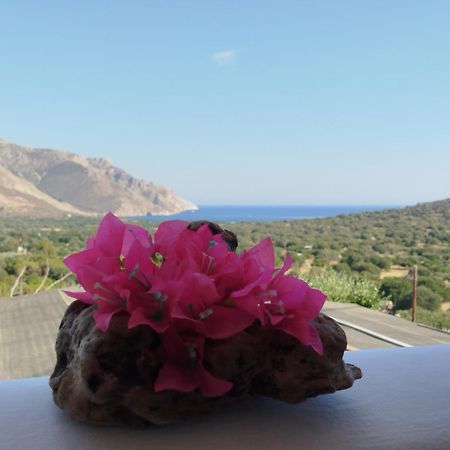 Tilos Island House Megalon Chorion  Экстерьер фото