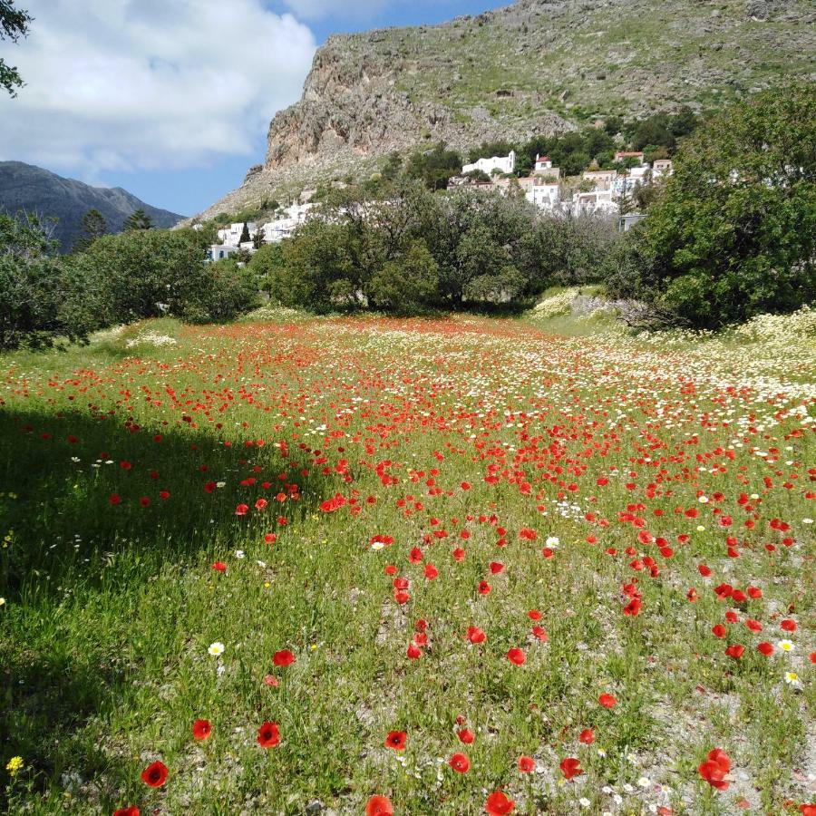 Tilos Island House Megalon Chorion  Экстерьер фото
